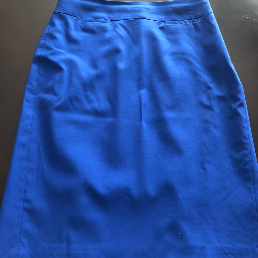 BR skirt , mint condition, worn only once
